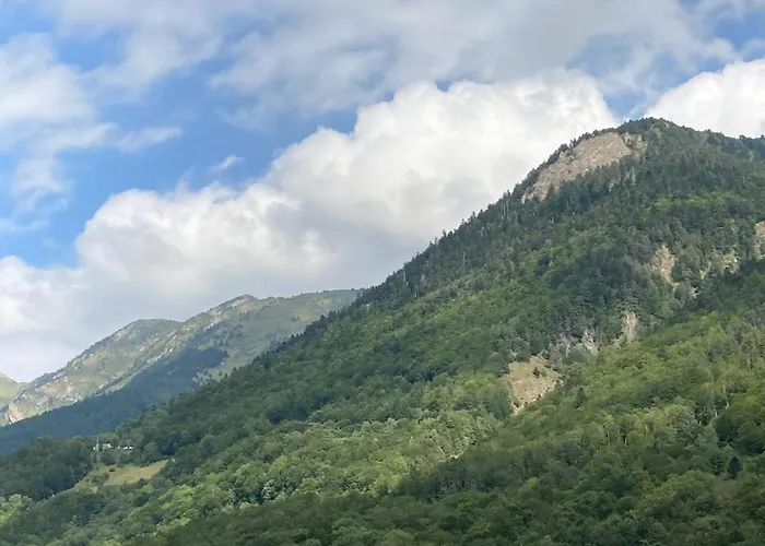 : Le Du Confort En Famille Apartment